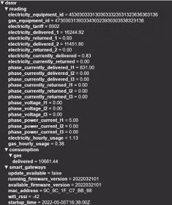 LHi110 LoRaWAN P1/HANbus Interface