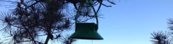 LoRaWAN Forest Fire Detection System.