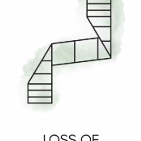 Herbal Youth Sheet Mask singel pack Snow Fox