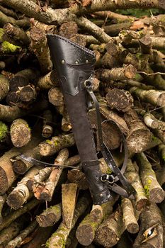 Quiver Ranger
