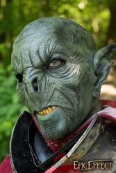 Feral Orc