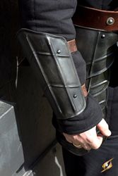 Arm Protection Drake