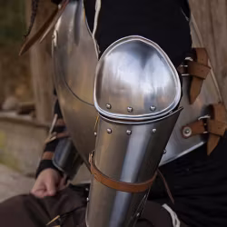 Enclosed Arm Protection - Polished Steel