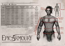 Samurai Armour