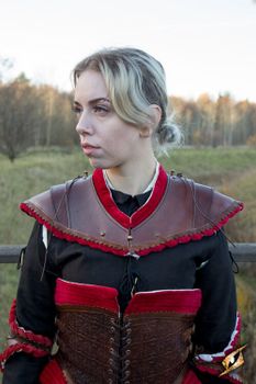 Noble Leather Gorget
