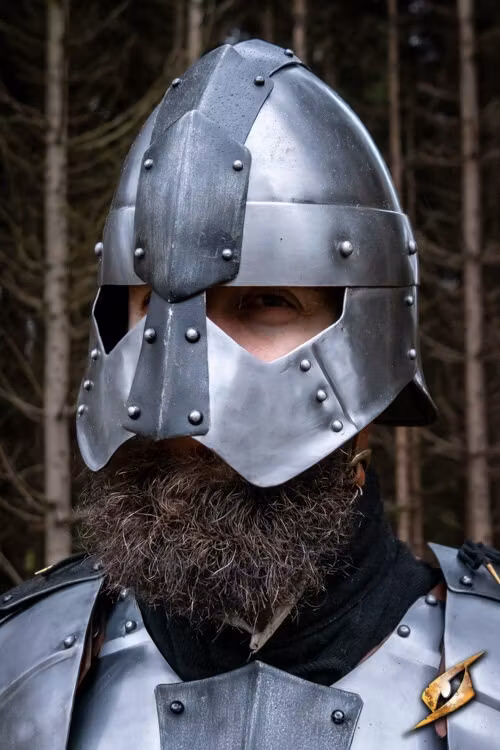 Dreki Helmet