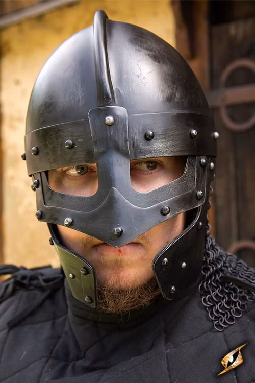 Raven Helmet