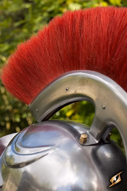 Roman Trooper. w Plume