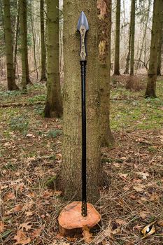 Rune Spear - 190 cm