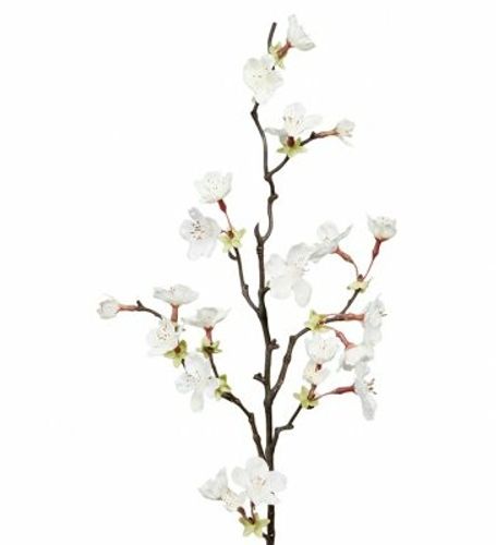 Körsbärsblomma 60cm