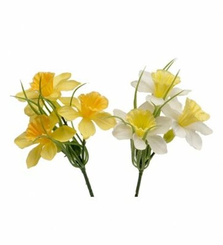 Narciss 15cm 1 vit+1gul
