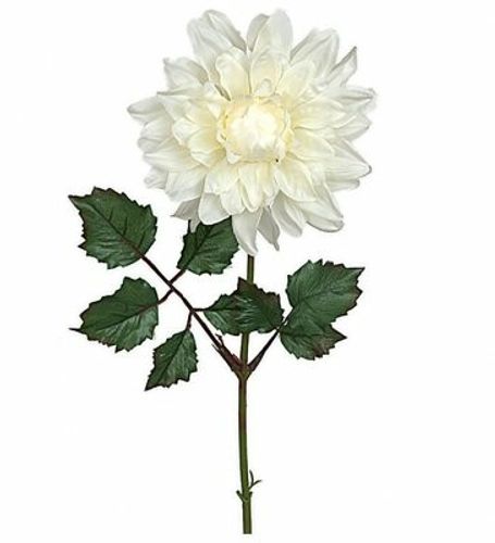 Dahlia 45cm