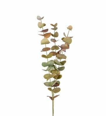 Eucalyptus 60cm flerfärgad