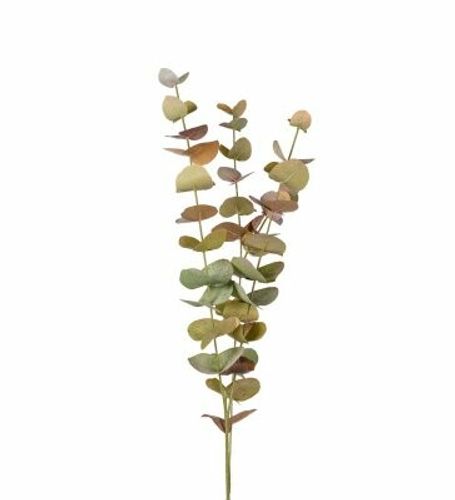 Eucalyptus 60cm flerfärgad