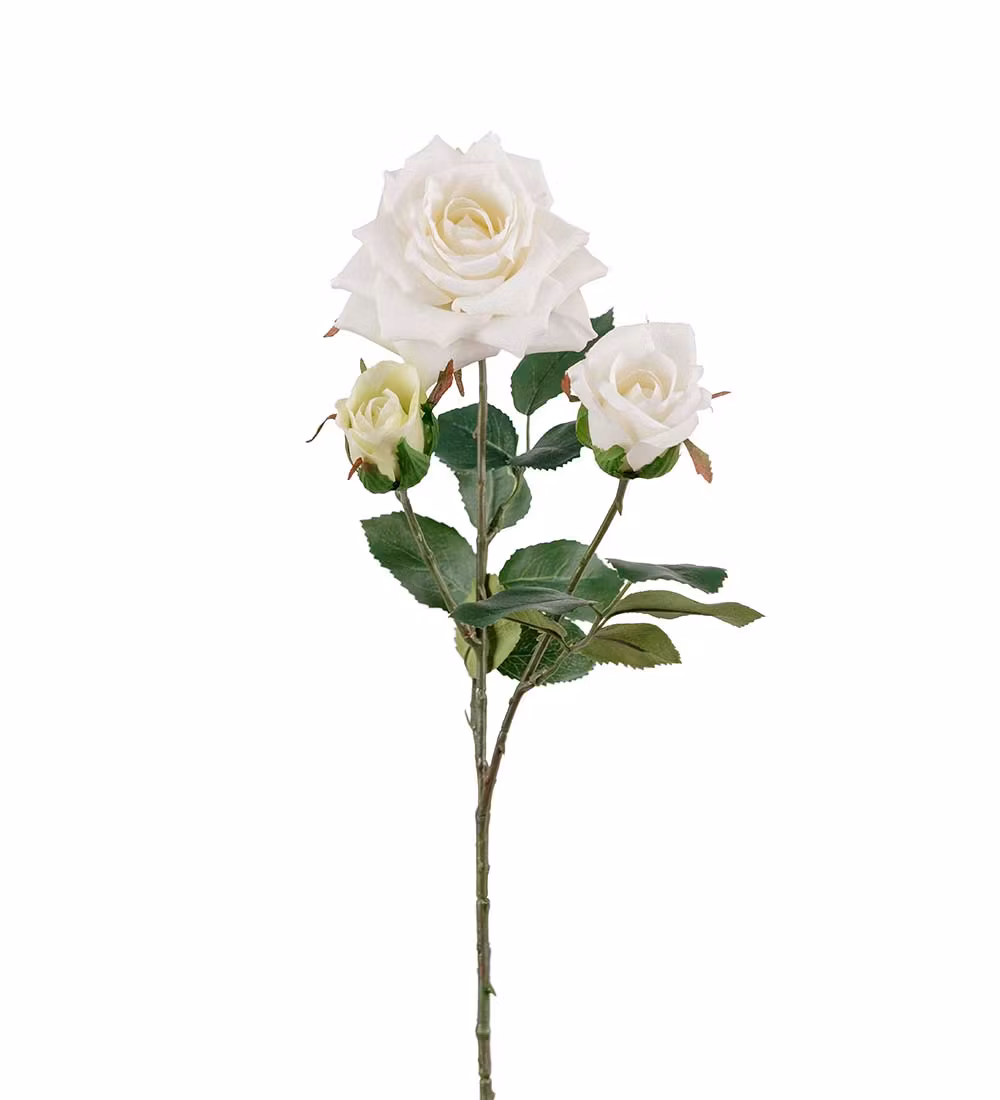 Vit Roskvist 55cm
