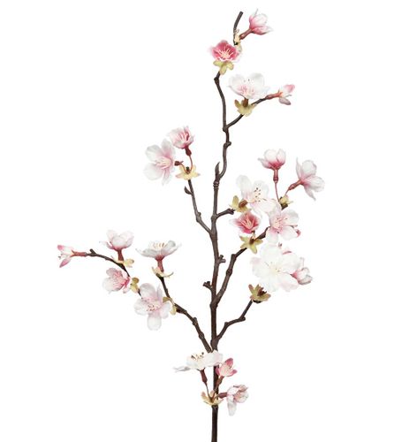 Körsbärsblomma 60cm Rosa