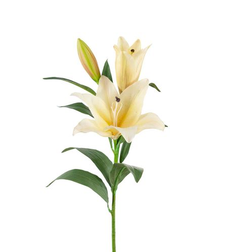 Gul Lilja 90cm