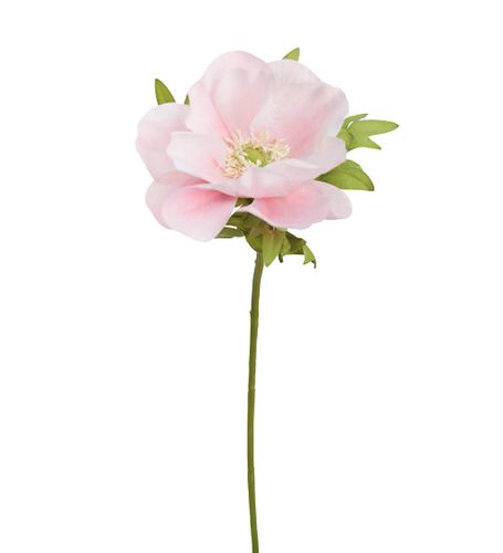 Rosa Anemon 43cm