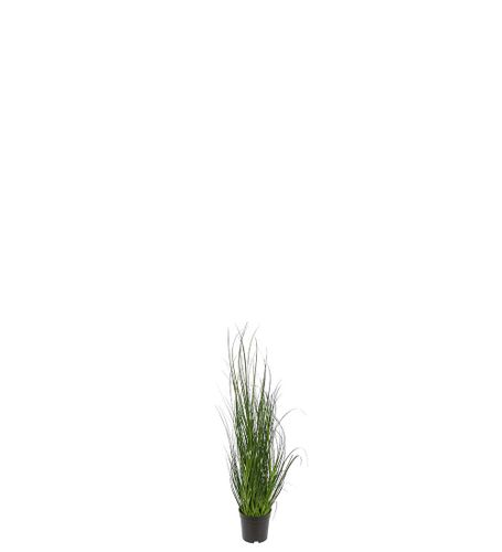 Gräs 70cm