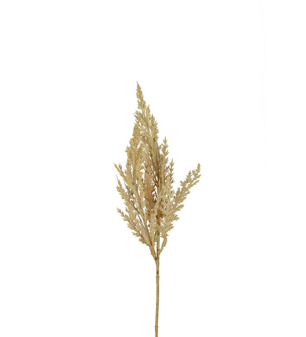 Pampasgräs natur 35cm