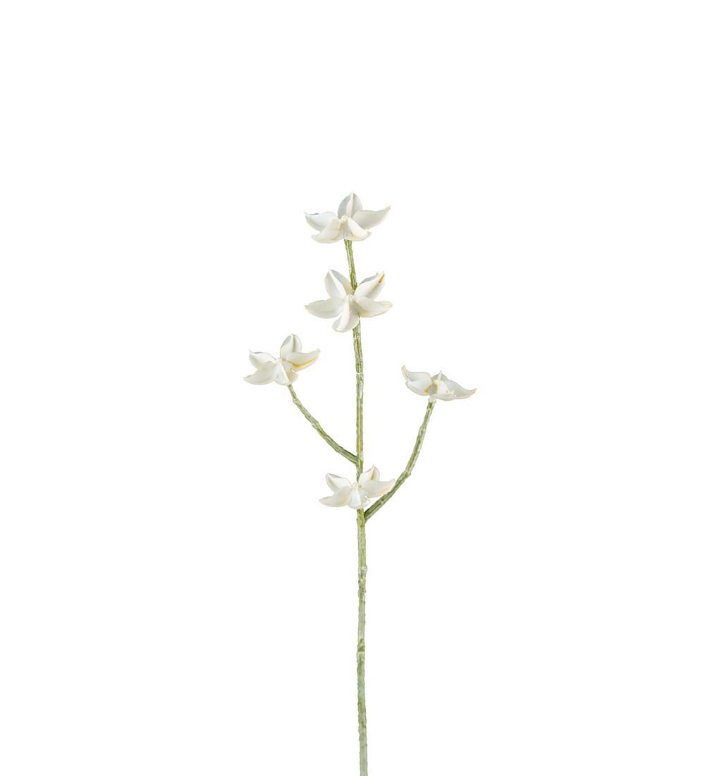 Eternell 50cm