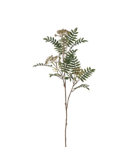 Rönn 80cm