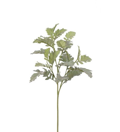 Silverek 70cm