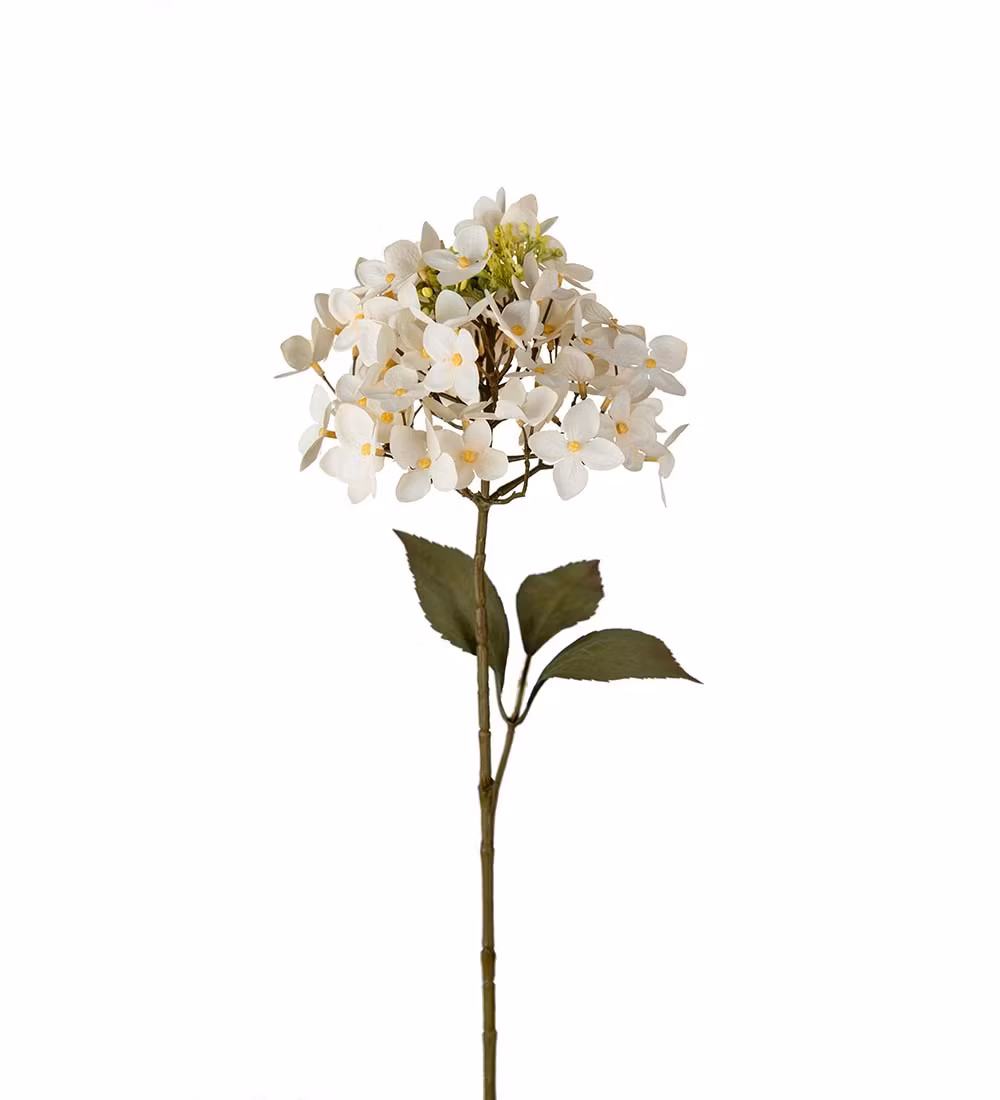 Hortensia 65cm