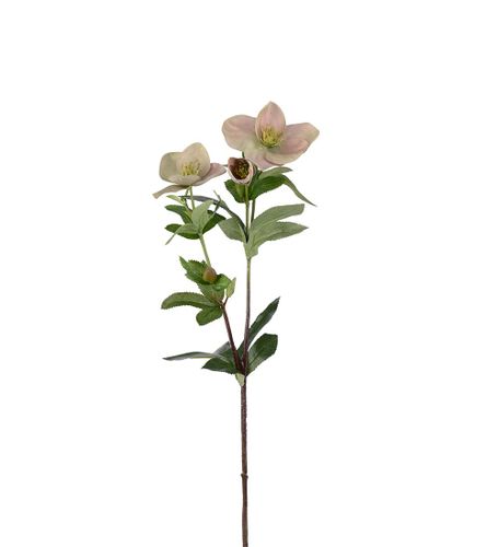 Julros 60cm