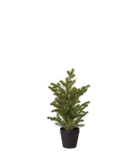 Gran i kruka 35cm