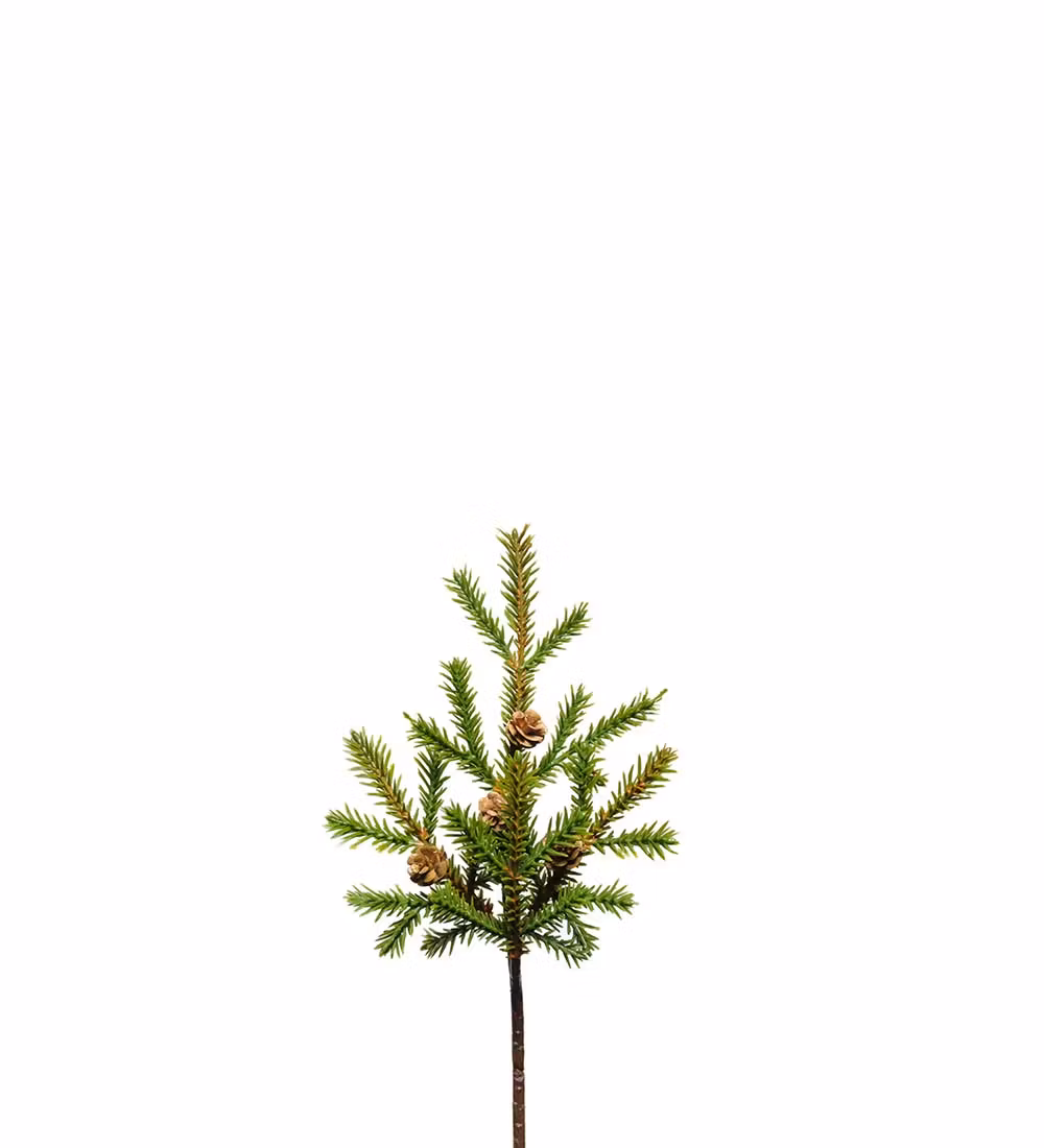 Grankvist med kottar 22cm