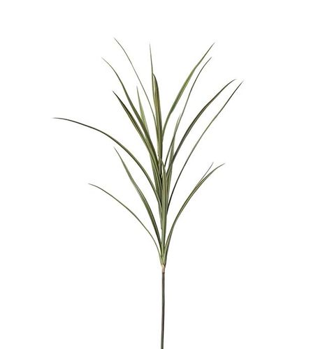 Gräs 110cm