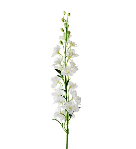 Delphinium 90cm Vit