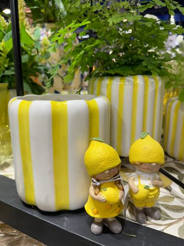 Citron barn