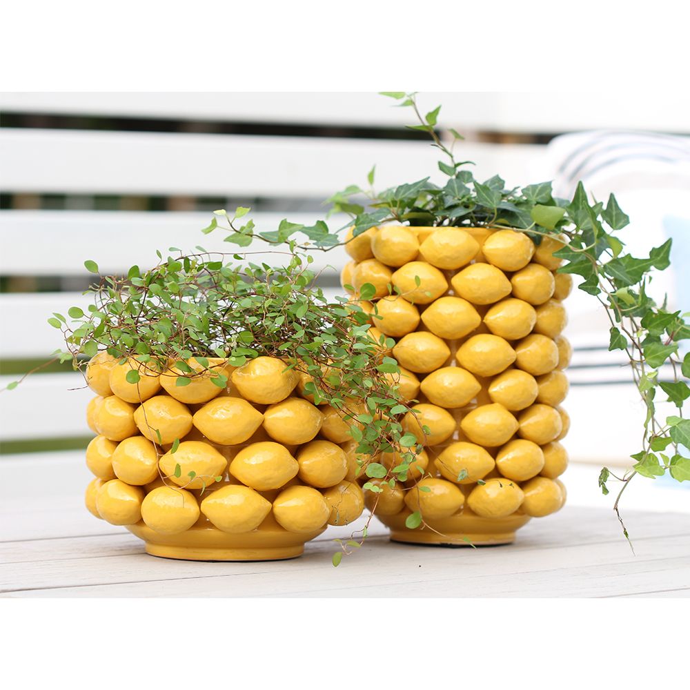 Citron Glaserad Kruka 24cm