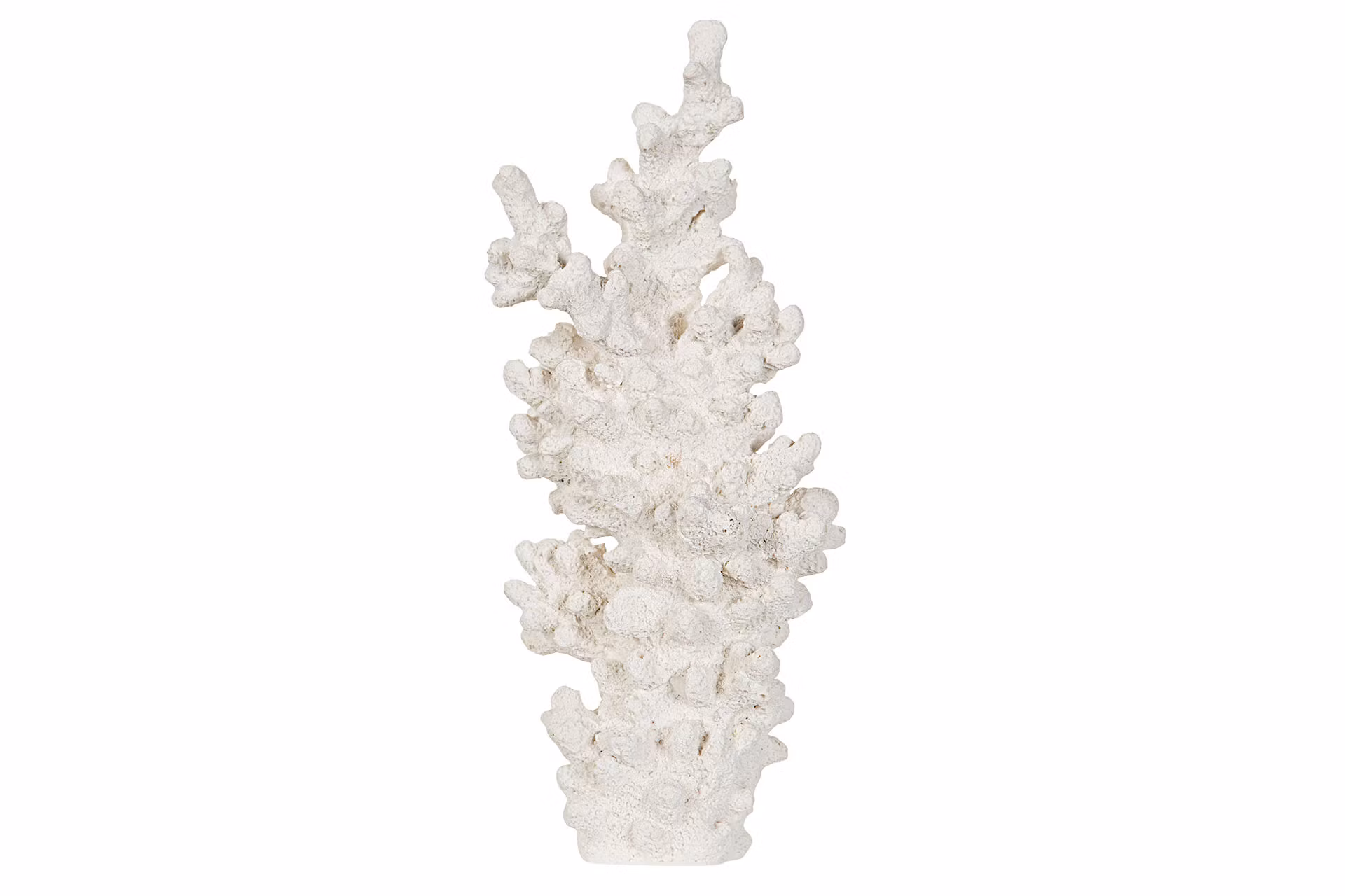 Korall 29cm