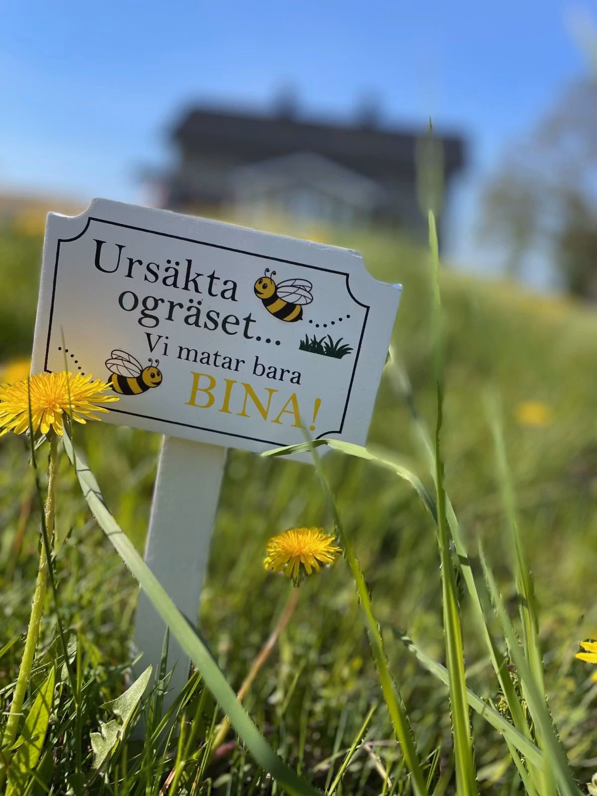 Trädgårdsskylt "Ursäkta ogräset vi matar bara bina"
