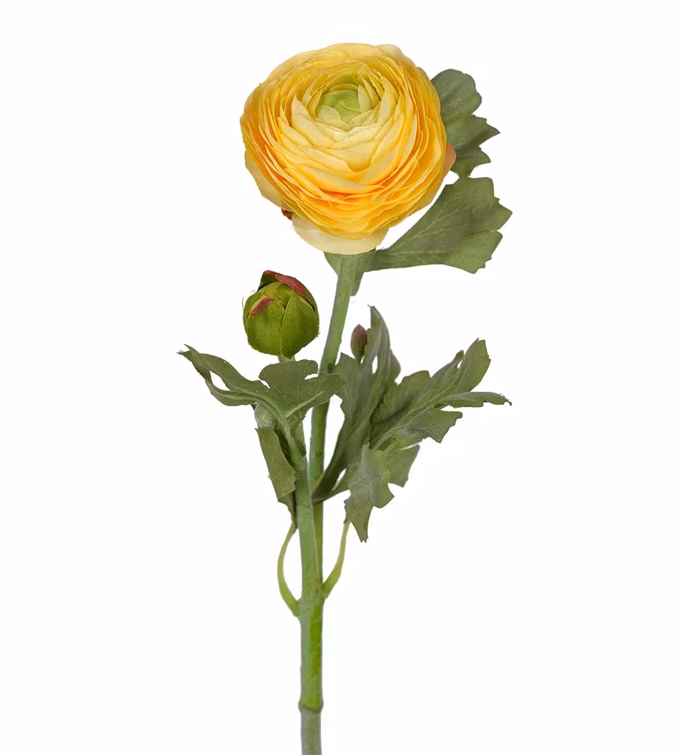 Ranuncel Gul 50cm