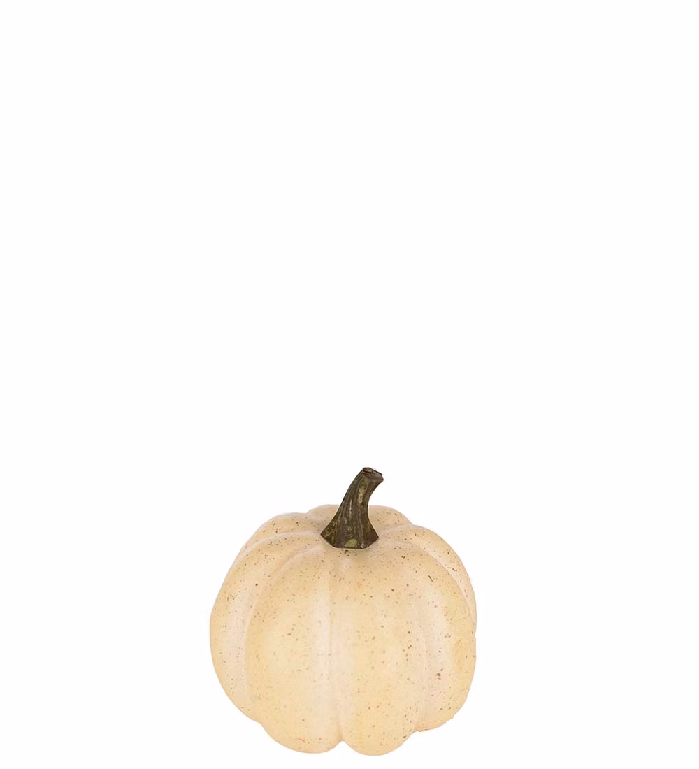 Pumpa Cream 10cm