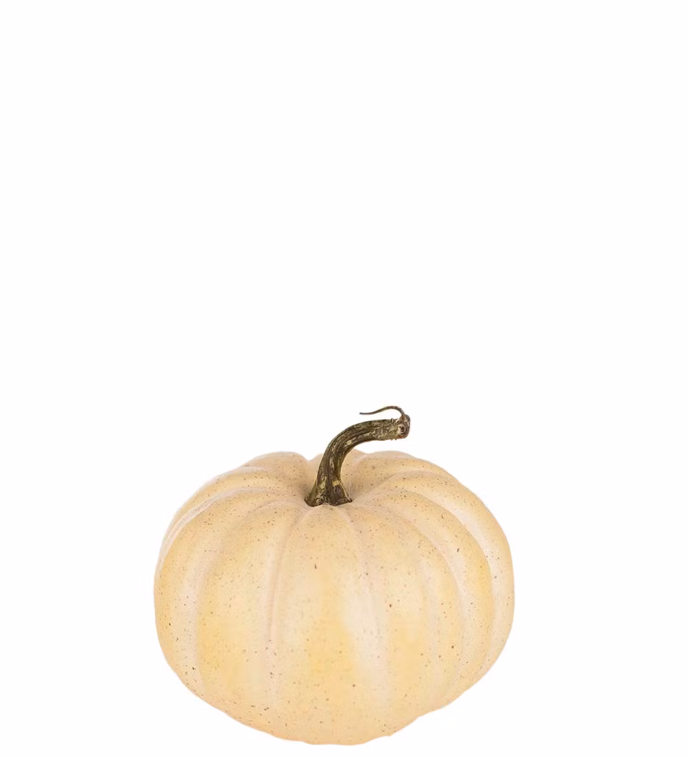 Pumpa Cream 15cm