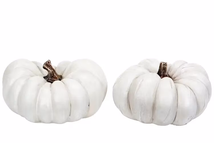 Pumpa 20cm (3 olika färger)