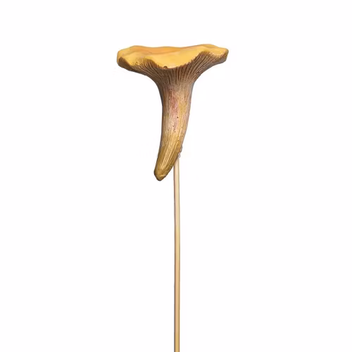 Kantarell på pinne 8cm