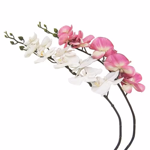Orkidé vit & rosa 92cm