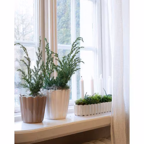 EDNA Plantering Oval
