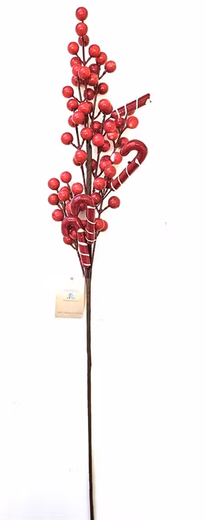 Växtgren med bär och käppar