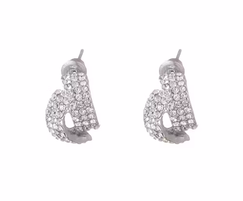 Örhängen silver strass