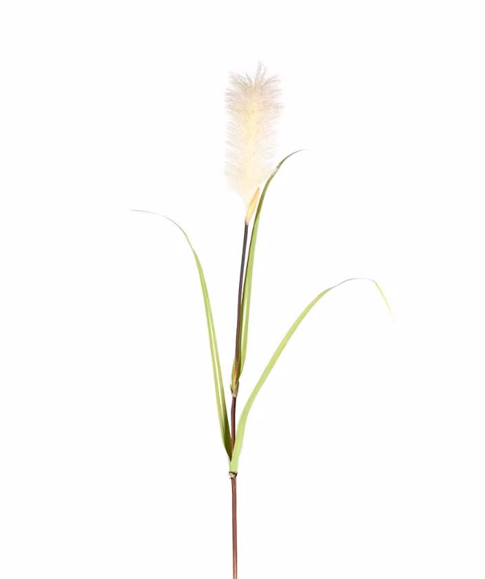 Gräs 120cm