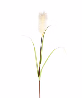Gräs 120cm
