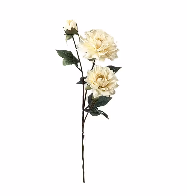 Dahlia Cream 72cm