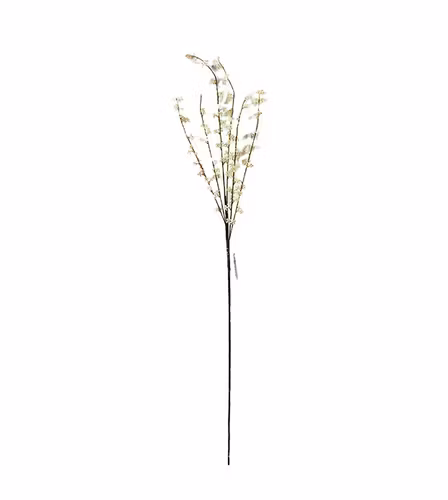 Kvist Cream 100cm